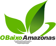O Baixo Amazonas